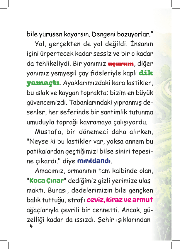 Kitaptan sayfa 3
